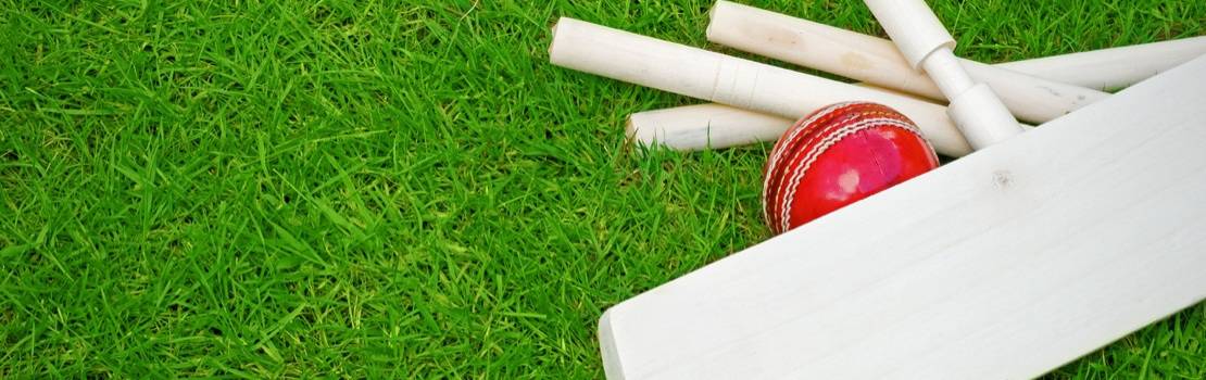 Cricket Set