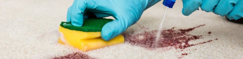 how to keep a retail store clean during the day