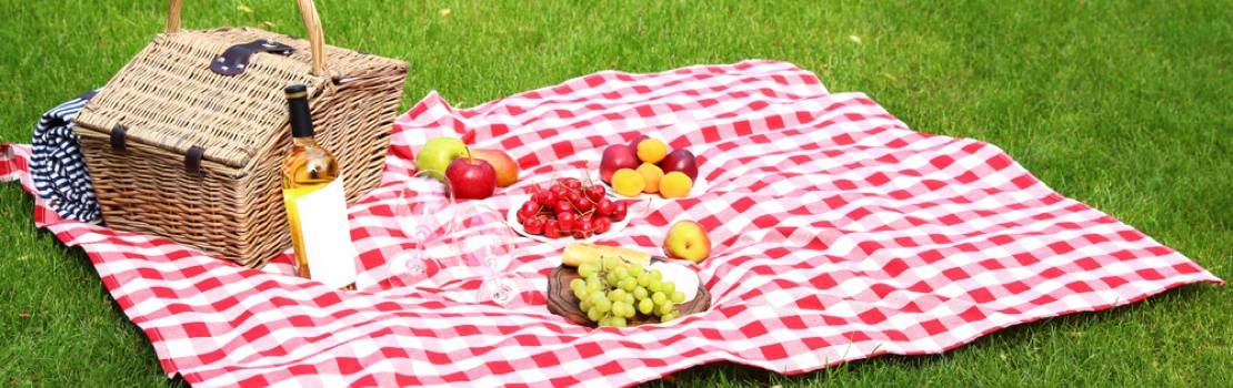 Picnic Blanket