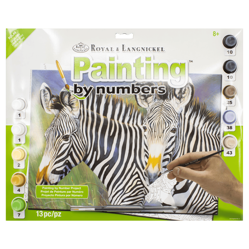 Paint By Numbers Junior Large - Grevy's Zebra
