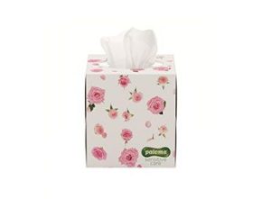 Paloma 60 3ply Cosmetic Tissues Boxed Assorted Designs