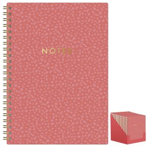 B5 Twin Wire Notebooks 100 Pages 80gsm Ruled CDU