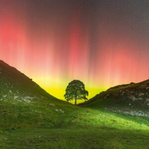 Blank Card - Country Ways Sycamore Gap Near Crag Lough