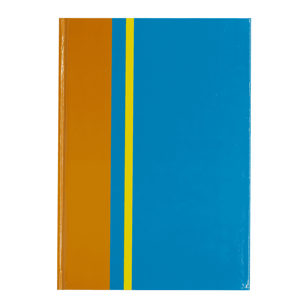 Silvine Daze A5 Twin Wire Casebound Daze Design - Assorted