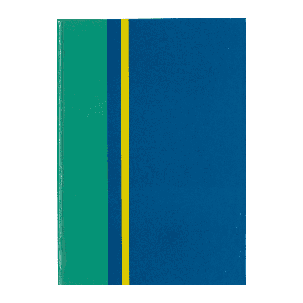Silvine Daze A5 Twin Wire Casebound Daze Design - Assorted