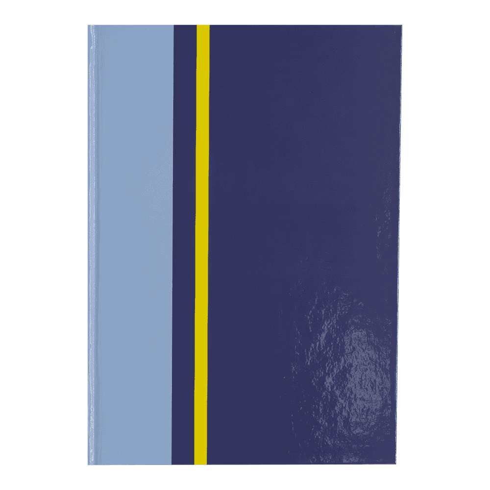 Wholesale Silvine Daze A5 Twin Wire Casebound Daze Design - Assorted from Harrisons Direct