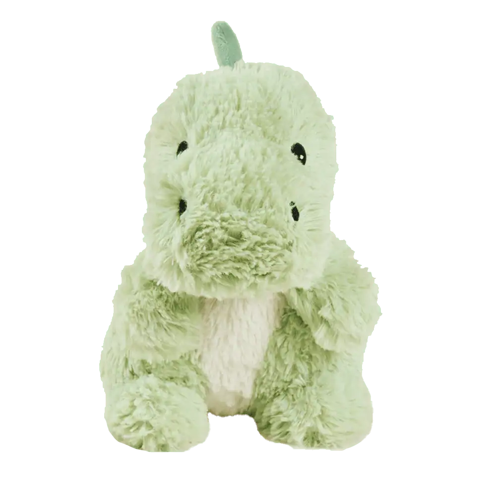 Warmies Plush Baby Dinosaur Green 13" from Harrisons Direct