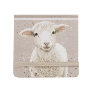 Cedar & Sage Mini Jotter from Harrisons Direct