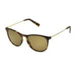 Wholesale Foster Grant Sunglasses – Classics from Harrisons Direct