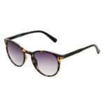 Wholesale Foster Grant Sunglasses – Classics – (EU 1069 TRT NS) from Harrisons Direct