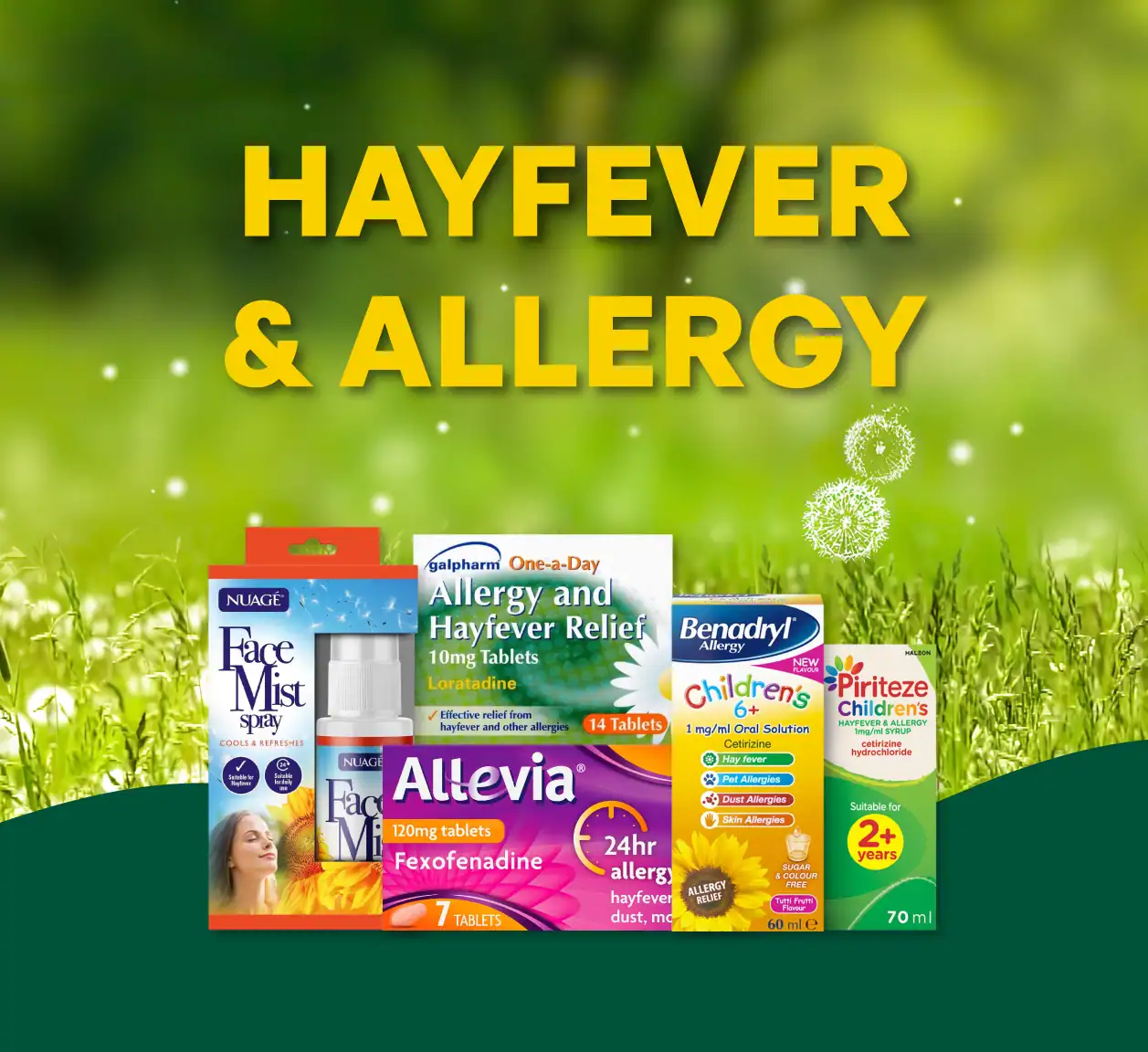 Hayfever & Allergy Seasonal Website Banner
