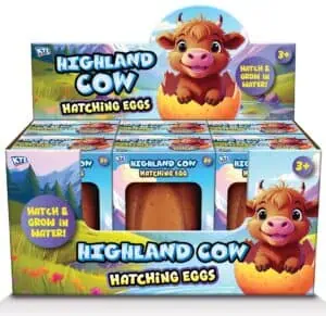 Wholesale Highland Cow Hatching Egg CDU from Harrisons Direct