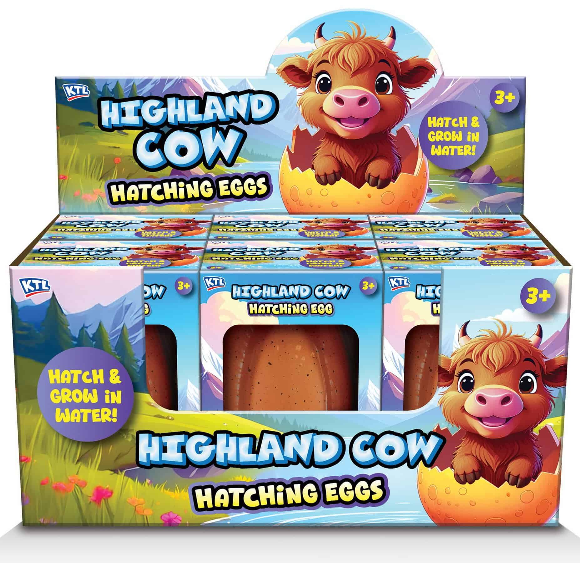 Wholesale Highland Cow Hatching Egg CDU from Harrisons Direct