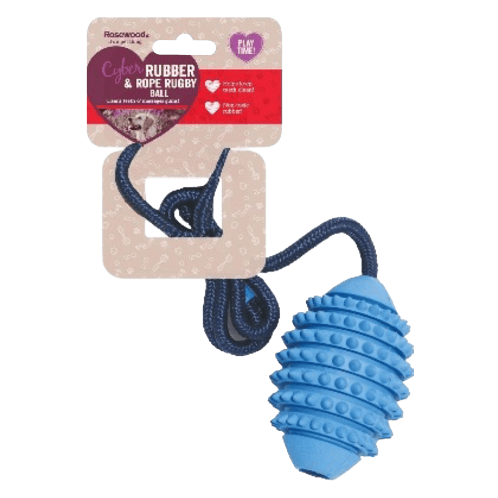 Rosewood Rugby Ball on Rope Medium Assorted Colours from Harrisons Direct
