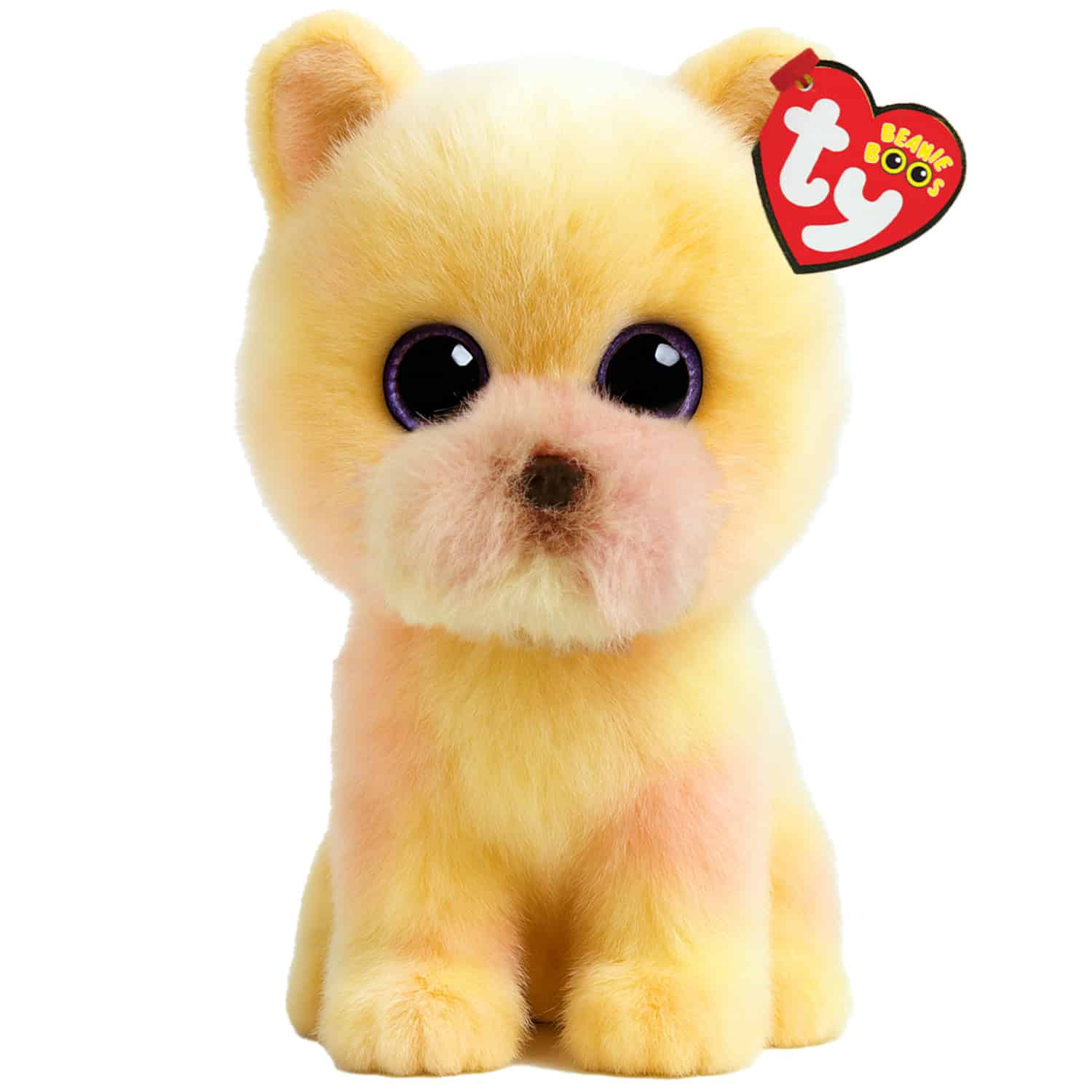 Wholesale TY Beanie Boos Palmer Pomeranian from Harrisons Direct